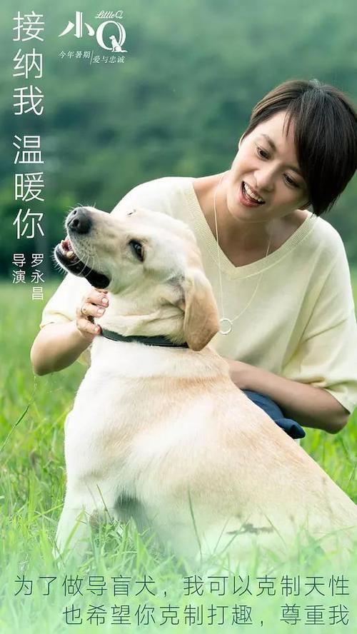 密歇根州立大学文凭毕业证买个多少钱